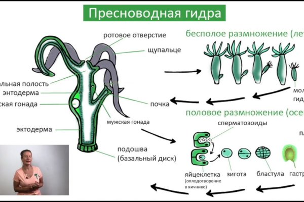 Каталог сайтов даркнет