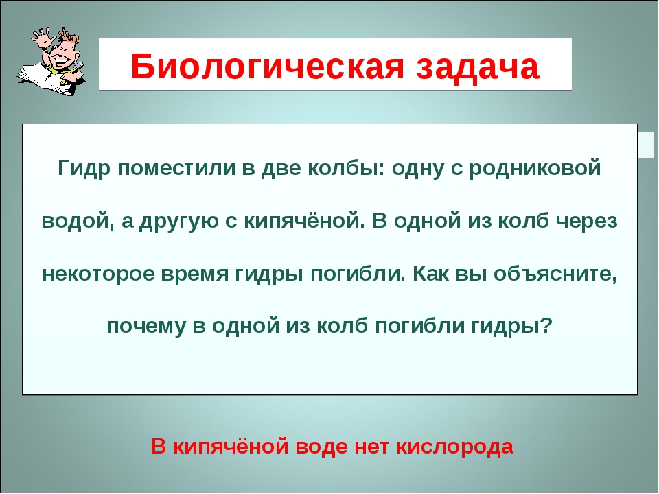 Как зайти на кракен тор