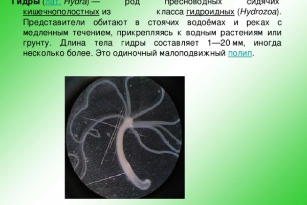 Оригинальный сайт кракен