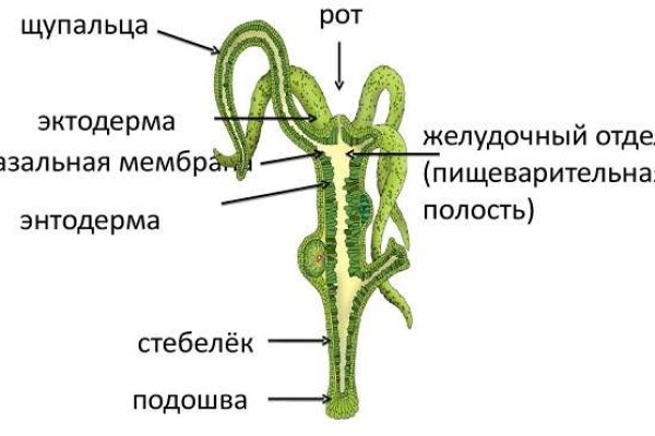 Сайт кракена актуальный