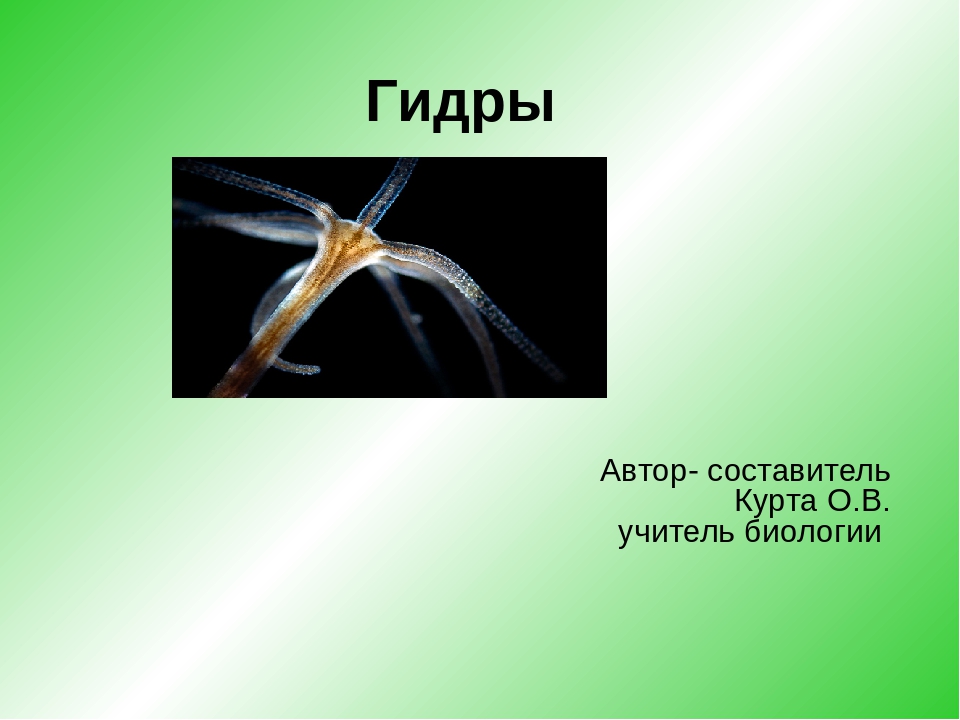 Наркотики заказать