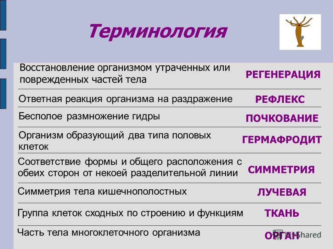 Кракен маркетплейс москва видео
